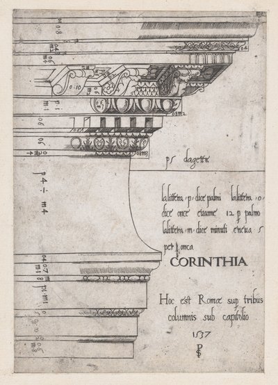 منظار Romanae Magnificentiae: Entablature من معبد كاستور وبولوكس ، روما ، 1537. ، 1537 بواسطة ماجستير PS