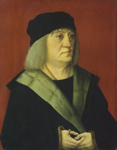 صورة الدكتور يوهان ويسباخ بواسطة Master of Ulm