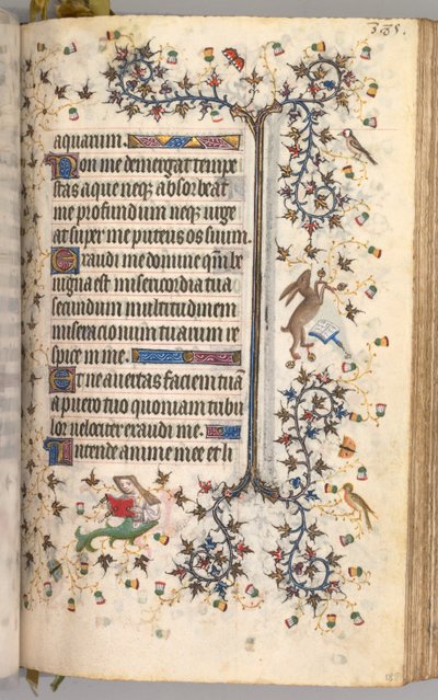 ساعات شارل النبيل ، ملك نافار 1361-1425: fol. 188 و ، نص ، ج. 1405. بواسطة ماجستير في الأحرف الأولى وشركاء بروكسل