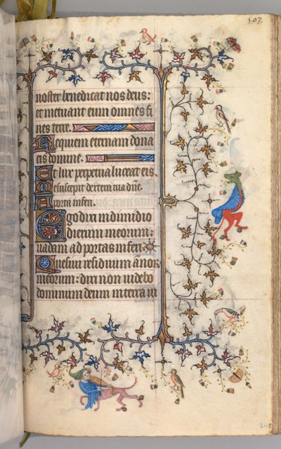ساعات شارل النبيل ، ملك نافار 1361-1425: fol. 246 و ، النص ، ج. 1405. بواسطة ماجستير في الأحرف الأولى وشركاء بروكسل