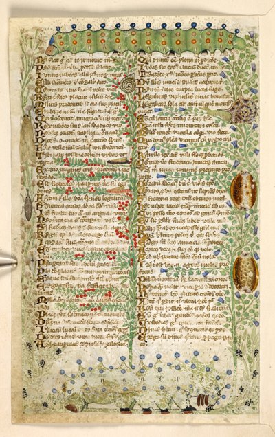 يضيف. 28841، f.2v: اليرقات ، القواقع ، والحشرات الأخرى ، من رسالة في الفضائل والرذائل ، وتاريخ نثر مجهول لصقلية (جزء) ، حوالي 1330-40 (ورق) بواسطة ماجستير في الدستور الغذائي Cocharelli