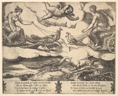 رمزية الزواج والحب ، جونو في عربة رسمها الطاووس على اليسار ، فينوس في ... ، 1530-60. بواسطة سيد الموت