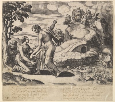 تأمر الزهرة Psyche بأخذ الماء من نافورة تحرسها التنانين ، من 'الخرافة ... ، 1530-60. بواسطة سيد الموت