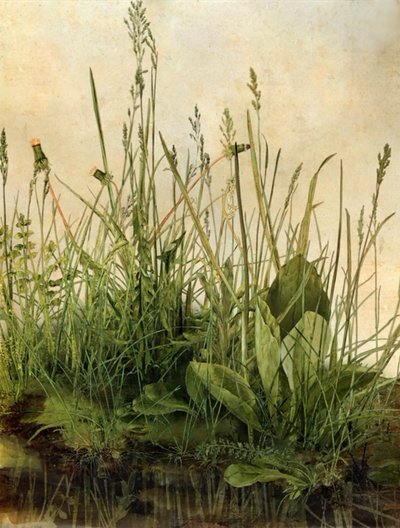Whispering Weeds، 2011 (إطار خشبي وإطار وشاشة LCD ومروحة وقرص صلب) بواسطة مات كوليشاو