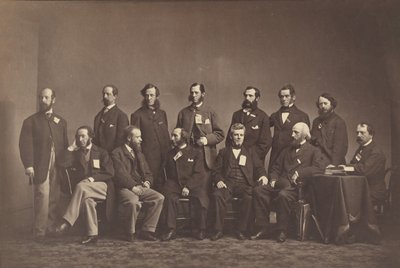 [أعضاء لجنة نيويورك الصحية] ، كاليفورنيا. 1860. بواسطة ماثيو برادي