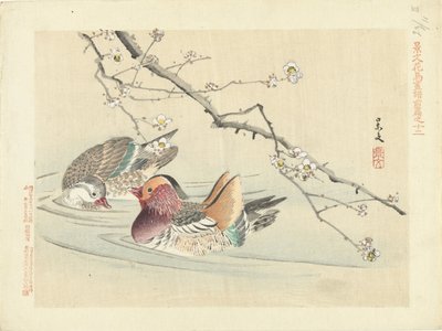 بطتان اسكتشات الزهور والطيور لكيبون - الجزء الأول (عنوان المسلسل) قلم Keibun Kacho Gafu Zen (عنوان السلسلة على الكائن) بواسطة ماتسومورا كيبون