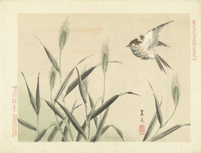 طائر يطير بين الأعشاب اسكتشات الزهور والطيور لكيبون - الجزء الأول (عنوان المسلسل) قلم Keibun Kacho Gafu Zen (عنوان السلسلة على الكائن) بواسطة ماتسومورا كيبون