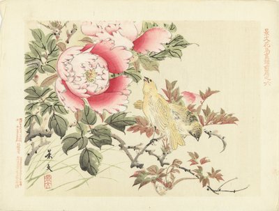 الطيور والفاوانيا اسكتشات الزهور والطيور لكيبون - الجزء الأول (عنوان المسلسل) قلم Keibun Kacho Gafu Zen (عنوان السلسلة على الكائن) بواسطة ماتسومورا كيبون