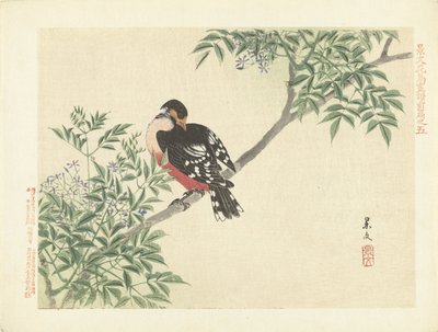 طائر أسود أحمر اسكتشات الزهور والطيور لكيبون - الجزء الأول (عنوان المسلسل) قلم Keibun Kacho Gafu Zen (عنوان السلسلة على الكائن) بواسطة ماتسومورا كيبون