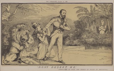 Don