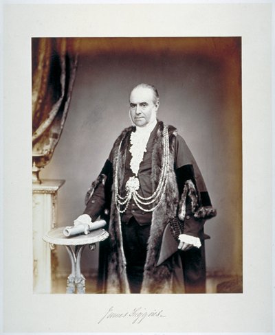 جيمس فيجينز ، عمدة لندن ، في زي شجاع ، c1865 بواسطة موال وشركاه