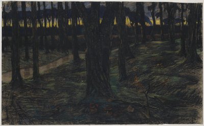 منظر الغابة عند غروب الشمس بواسطة موريتس فان دير فالك