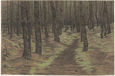 غابة الصنوبر بواسطة موريتس فان دير فالك