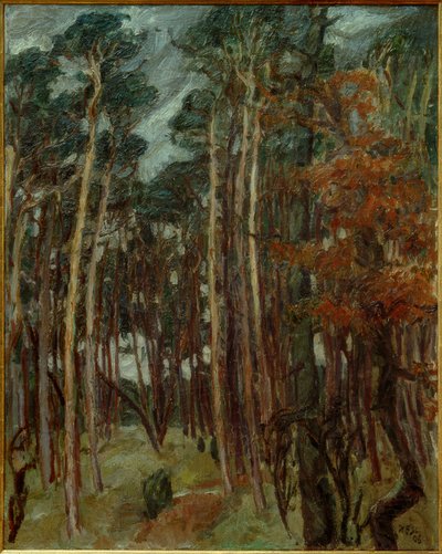Hermsdorfer Wald am grauen Tag بواسطة ماكس بيكمان