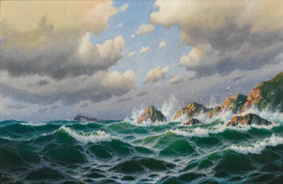 الألمانية: باخرة قبالة الساحل العاصف بواسطة ماكس جنسن