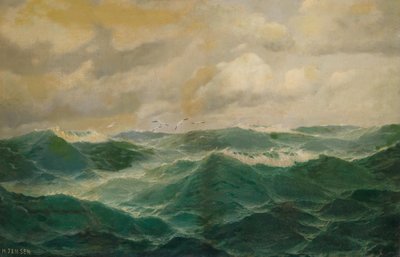 طيور النورس فوق البحار المتلاطمة بواسطة ماكس جنسن