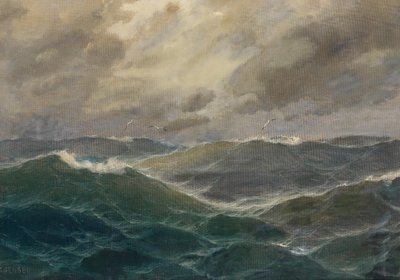 البحار العاصفة بواسطة ماكس جنسن