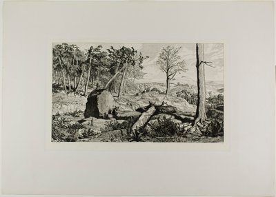 Simplicius in the Solitude of the Forest ، اللوحة العاشرة من Intermezzos بواسطة ماكس كلنجر