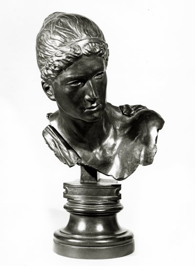 The head of Cassandra, c.1895 (bronze) بواسطة ماكس كلنجر