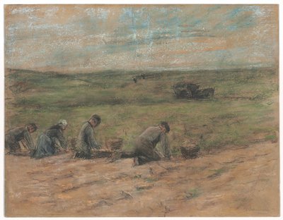 حفار بطاطس في زاندفورت ، 1894 بواسطة ماكس ليبرمان
