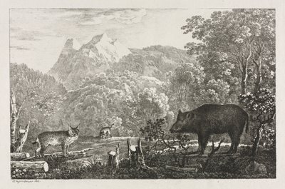 Wild Boar ، Wildcat and Lynx ، 1807. بواسطة ماكسيميليان جوزيف واجينباور