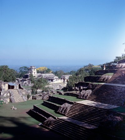 Precolombian civilization: view of the site of Palenque in Chiapas Classical Mayan period بواسطة المايا المايا