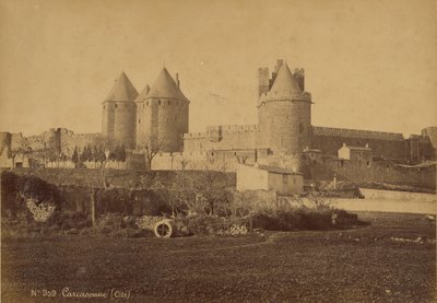 كاركاسون بواسطة التسلية الطبية