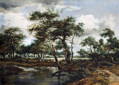 بركة في الغابة ، 1668 (زيت على لوح بلوط) بواسطة ميندرت هوبيما