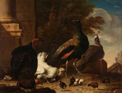 دجاجة مع طاووس وتركيا بواسطة Melchior d'Hondecoeter