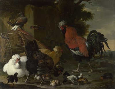 الديك ، الدجاج والدجاج ، حوالي 1668-1670 بواسطة Melchior de Hondecoeter