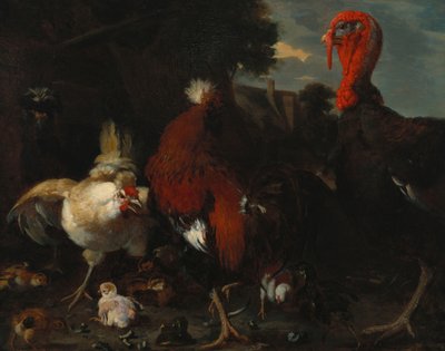 دجاجة ، الديك وتركيا في مزرعة بواسطة Melchior de Hondecoeter