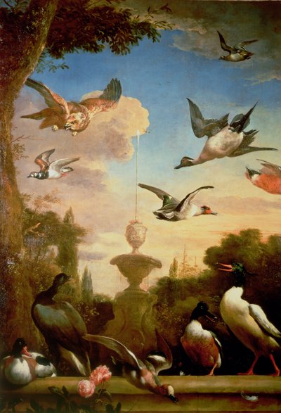 مالارد ونسر ذهبي في مناظر طبيعية كلاسيكية بواسطة Melchior de Hondecoeter