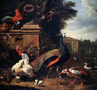 طاووس وصقر والعديد من الطيور والبط في حديقة (زيت على قماش) بواسطة Melchior de Hondecoeter