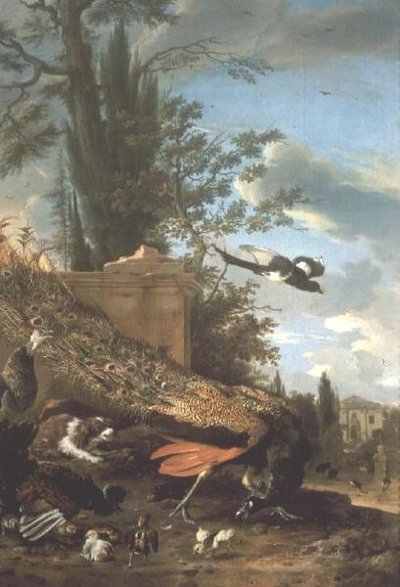 طاووس و ذليل في حديقة فيلا بواسطة Melchior de Hondecoeter