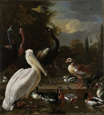 طائر البجع والطيور الأخرى بالقرب من بركة ، المعروفة باسم "الريشة العائمة" ، c.1680 بواسطة Melchior de Hondecoeter