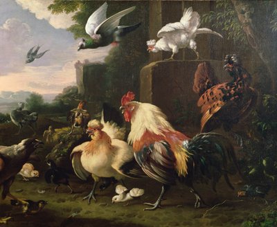 كوكريل وطيور أخرى في منظر طبيعي بواسطة Melchior de Hondecoeter