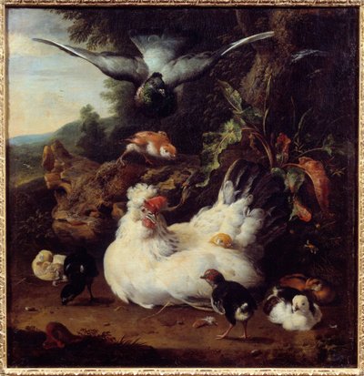 دجاجة وفراخها لوحة لملكيور هوندكويتر (1636-1695) ، القرن السابع عشر ، كاين ، متحف الفنون الجميلة بواسطة Melchior de Hondecoeter