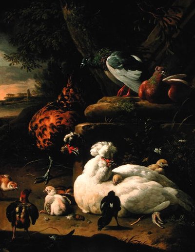 دجاجة مع كتاكيت وديك وحمام في منظر طبيعي (زيت على قماش) بواسطة Melchior de Hondecoeter