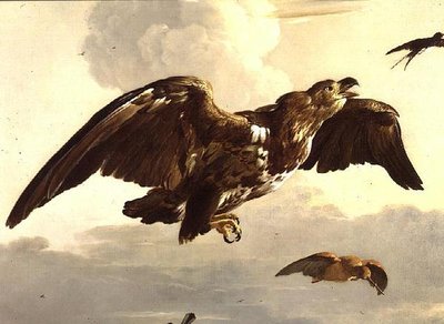 نسر وابتلاع في الرحلة بواسطة Melchior de Hondecoeter