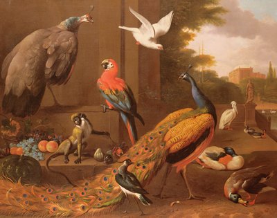 الطيور في المناظر الطبيعية بواسطة Melchior de Hondecoeter