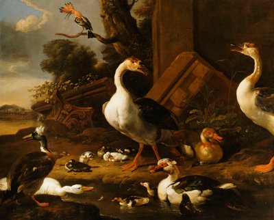 الأوزات الصينية والمصرية والطيور الأخرى في المناظر الطبيعية مع أطلال قريبة ، بواسطة Melchior de Hondecoeter