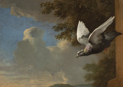 التفاصيل من ميناجيري ، 1680 (زيت على قماش) بواسطة Melchior de Hondecoeter