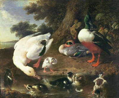 البط مزرعة بواسطة Melchior de Hondecoeter