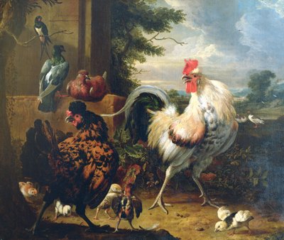 طيور المزرعة بواسطة Melchior de Hondecoeter