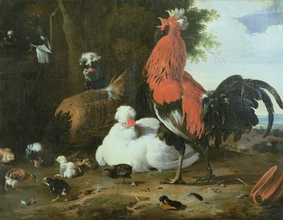 طيور الدواجن مع الحمام بواسطة Melchior de Hondecoeter
