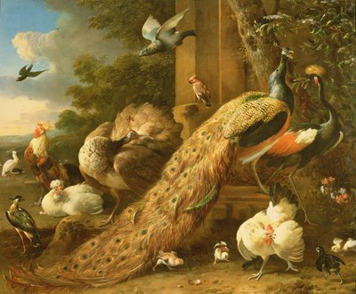 الطاووس ، الببغاء ، البجع ، الرافعة والدواجن بواسطة Melchior de Hondecoeter