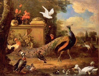 الطاووس والطيور الأخرى بجانب البحيرة بواسطة Melchior de Hondecoeter