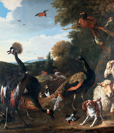 الطاووس والطيور الأخرى ، مع الأغنام والكلب في المناظر الطبيعية بواسطة Melchior de Hondecoeter