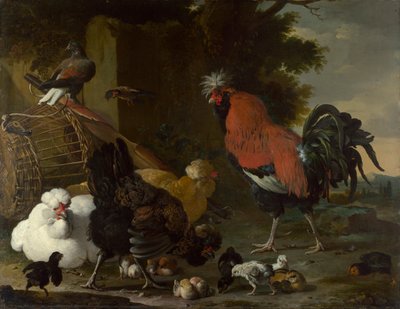 "الديك والدجاج والكتاكيت" (الديك والدجاج والكتاكيت) لوحة لملكيور دي هوندكوتير (1636-1695) زيت على قماش كاليفورنيا 1668-1670 خافت 85.5x110 سم المعرض الوطني ، لندن بواسطة Melchior de Hondecoeter