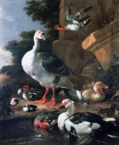 الطيور المائية في المناظر الطبيعية الكلاسيكية ، القرن السابع عشر بواسطة Melchior de Hondecoeter